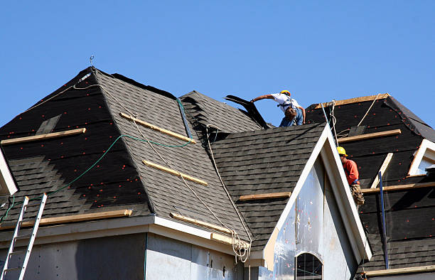 Best Roof Maintenance Services  in Riverview, MI