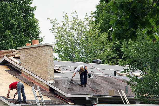 Best Emergency Roof Repair  in Riverview, MI