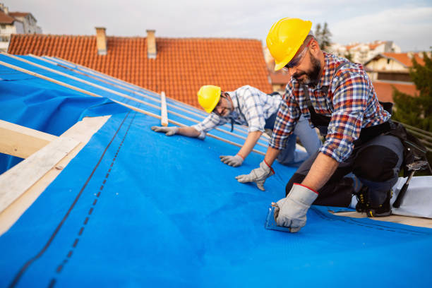 Best Residential Roofing Contractor  in Riverview, MI